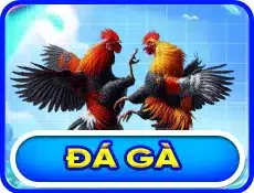 đá gà kk55