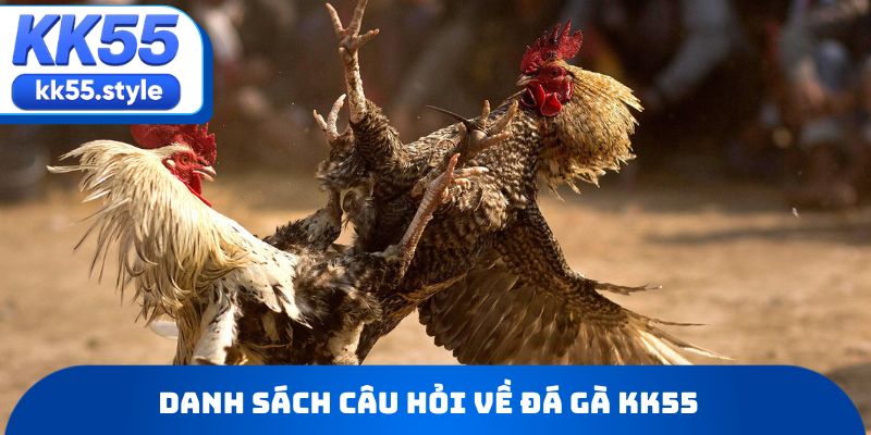 Danh sách câu hỏi được hỏi nhiều về đá gà KK55